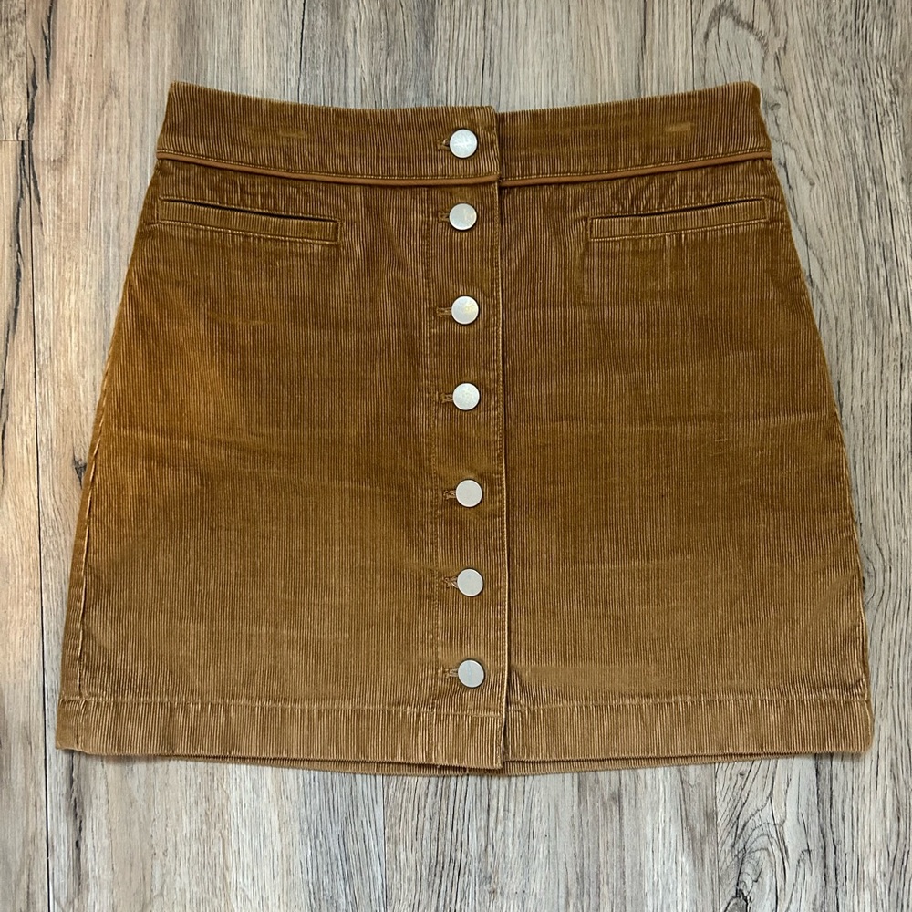 Aritzia skirt